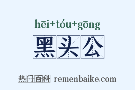 黑头公是什么意思的图片